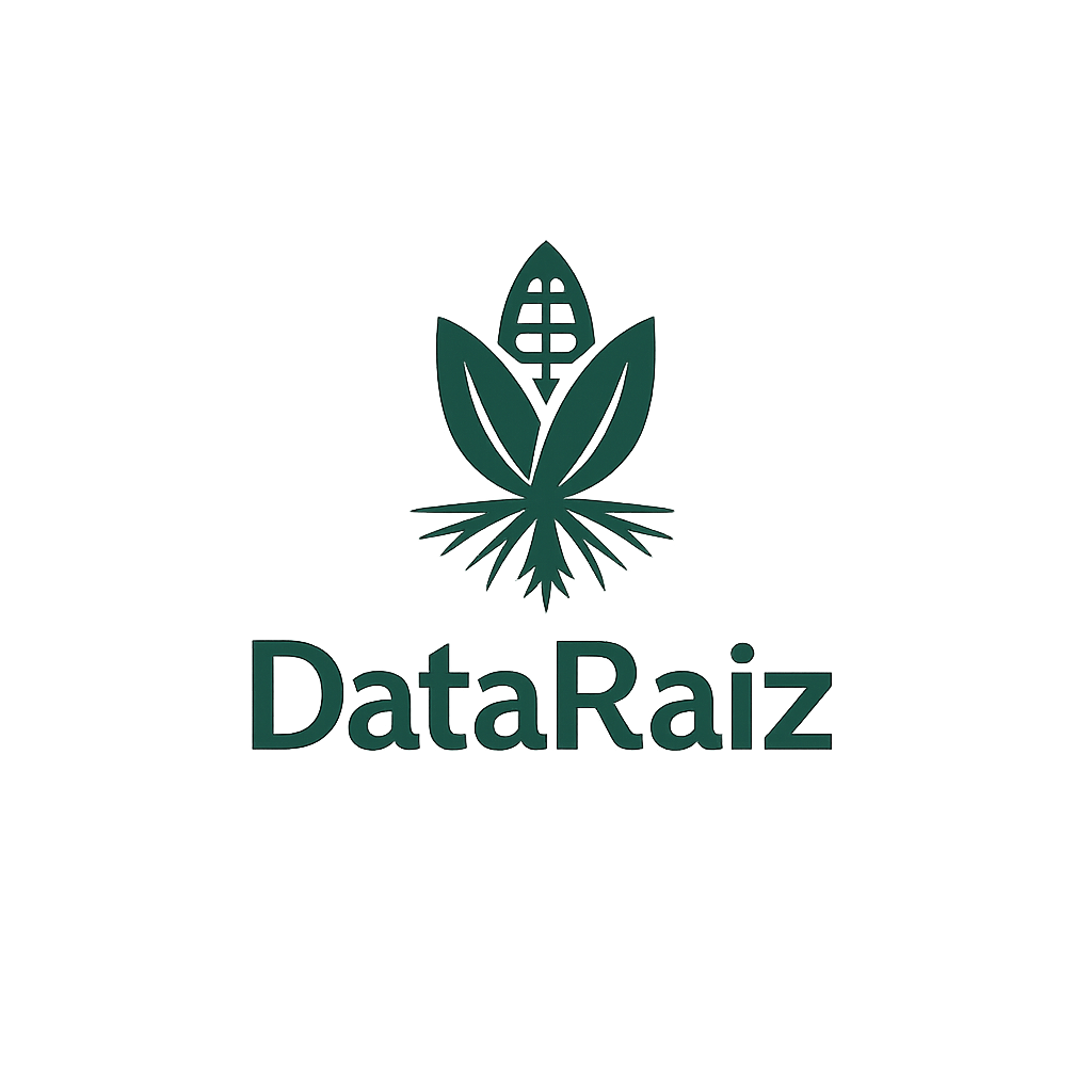 DataRaiz